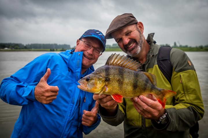 A nice river perch