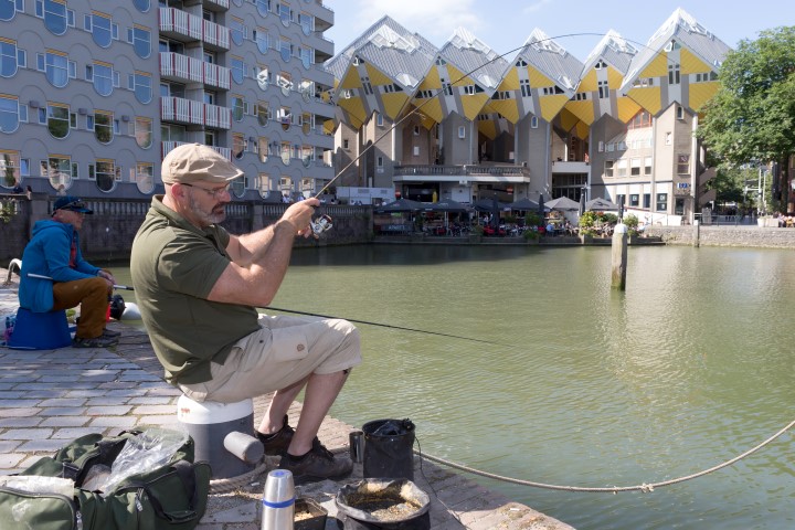 Witvissen middenin de stad