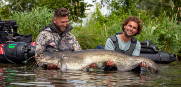 Charting the rise of the wels catfish