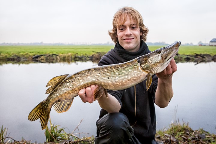 Polder pike