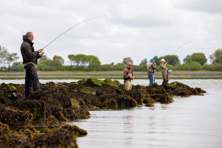 Everybody is hooked up to a twaite shad at the same time