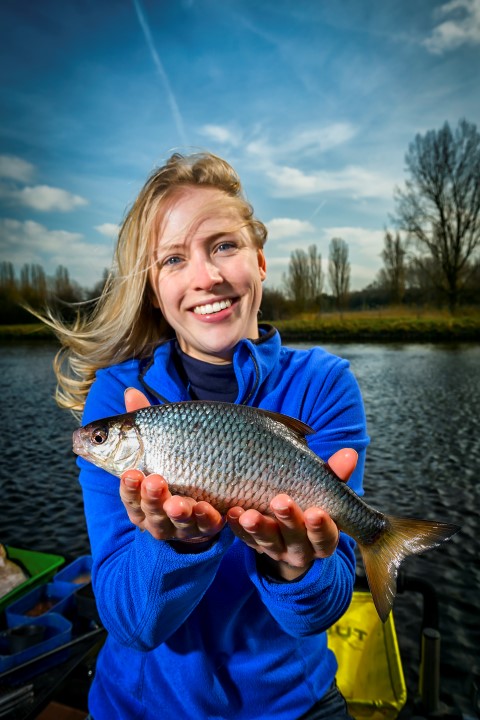 Roach is a very common fish in the Netherlands