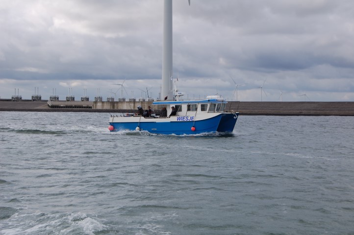 With charterboats you can perfectly fish for smoothhound