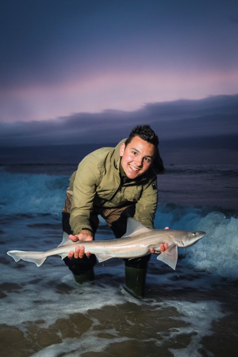 A nice smoothound caught from the beach