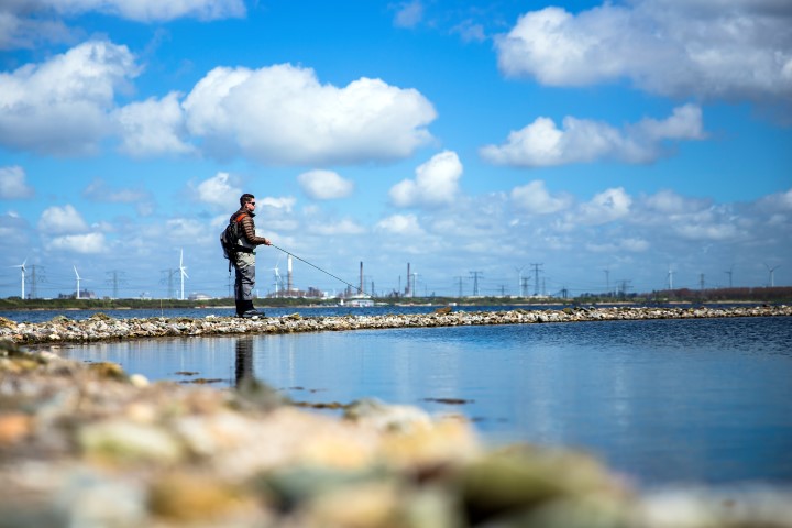 Forelangeln am Oostvoornse Meer