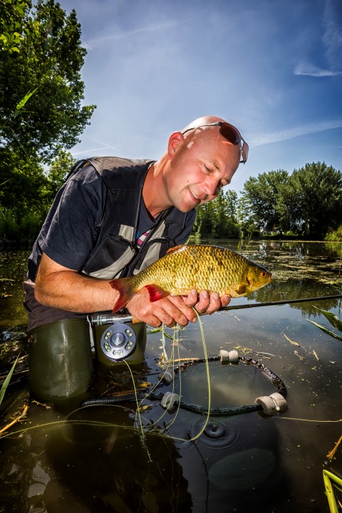 Nice rudd caught on the fly