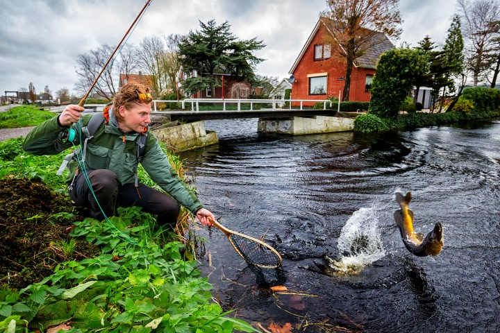 Poldersnoek aan de vliegenhengel