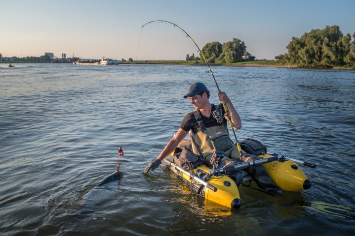 Catfish caught from a belly boat