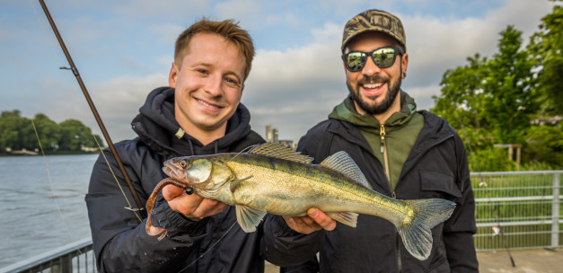 Neues Video: mit Blinker auf Zander in Holland