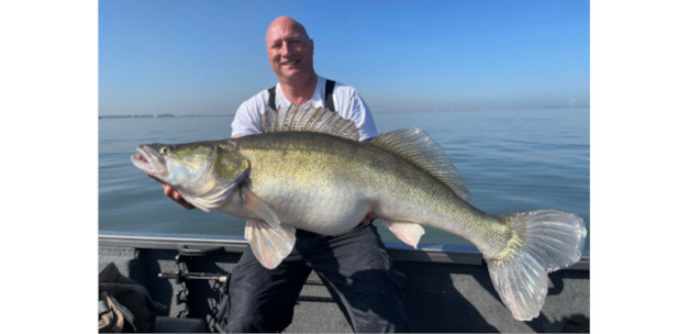 New bnrz pikeperch record: 106 centimeters!