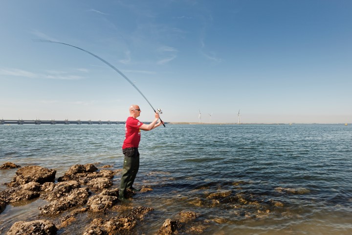 Zeebaarsvissen in Zeeland