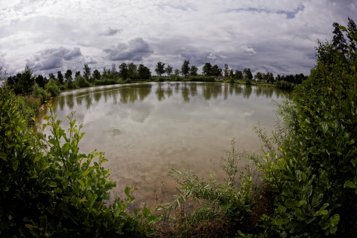 A nice natural fishing pond