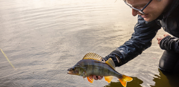 Regeln und Verhaltenskodex für Angler in Holland