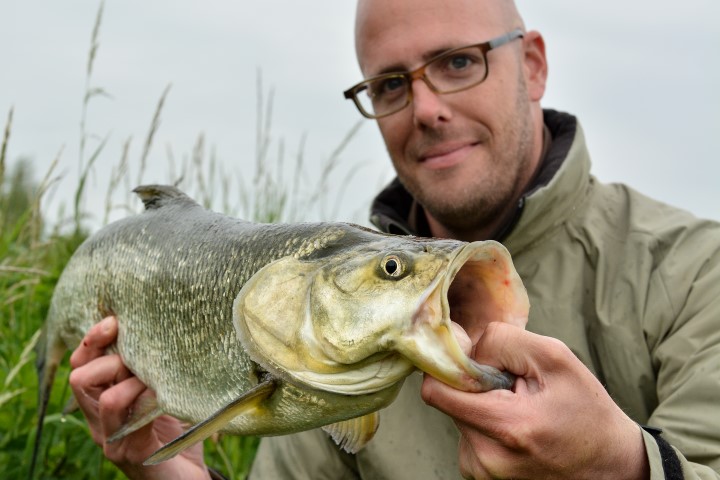 A nice river asp