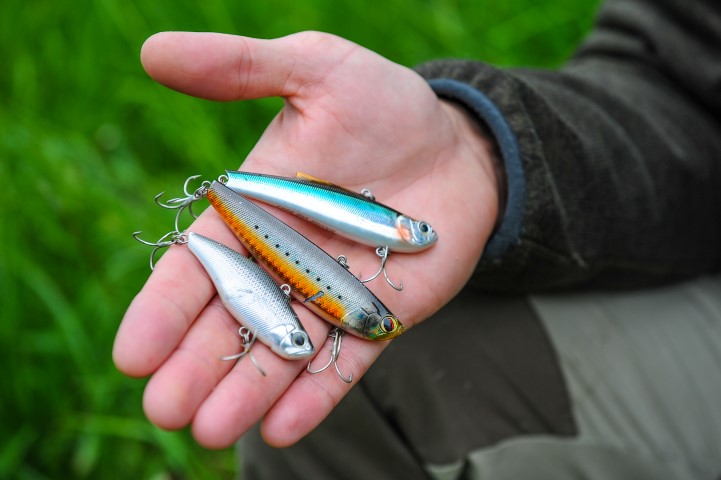Topwater lures and other small lures are great for asp