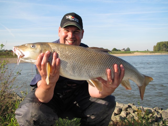 Big river barbel