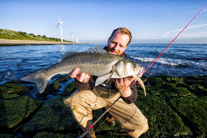 Big seabass caught from shore