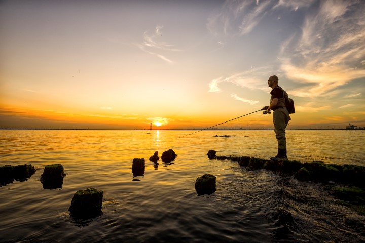 Lure fishing from shore