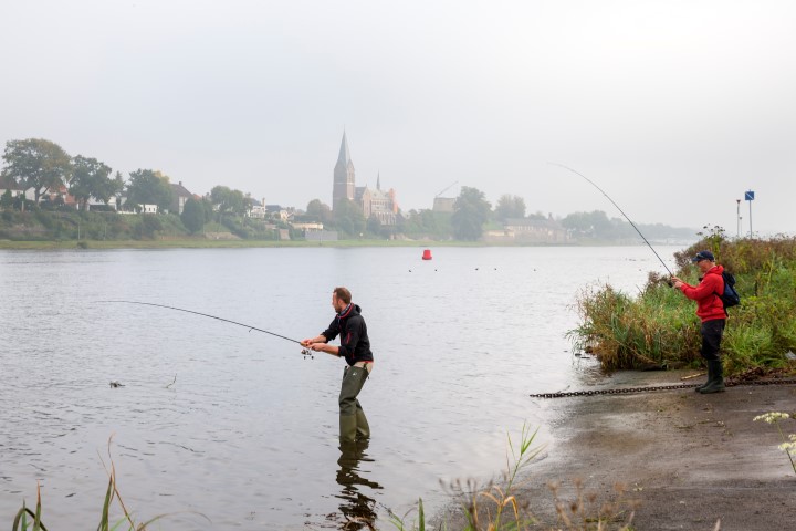 Great perch fishing in the Meuse river