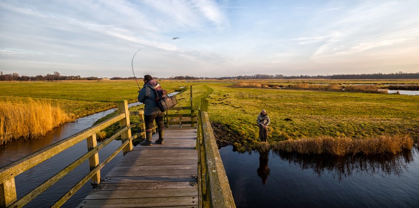 Pike fishing in a polder