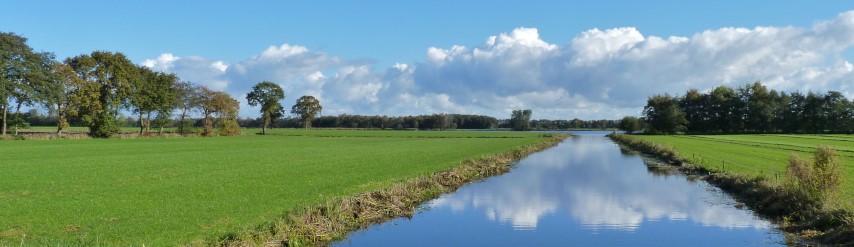 Polder