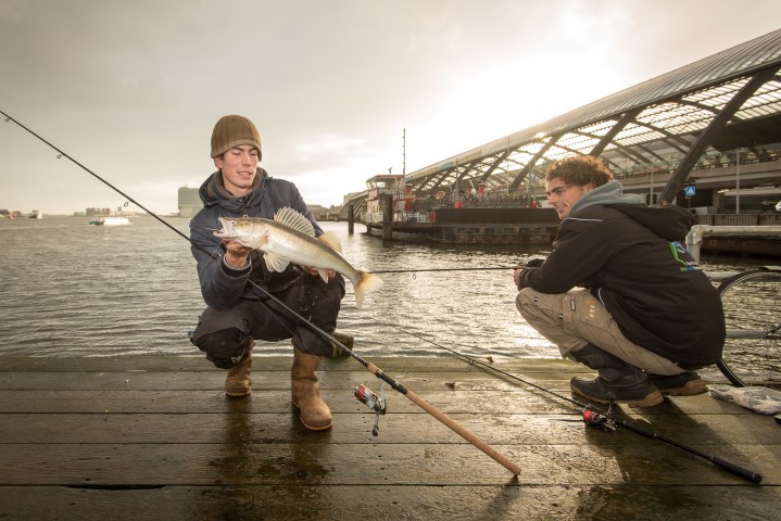 Zander caught near Amsterdam Central station