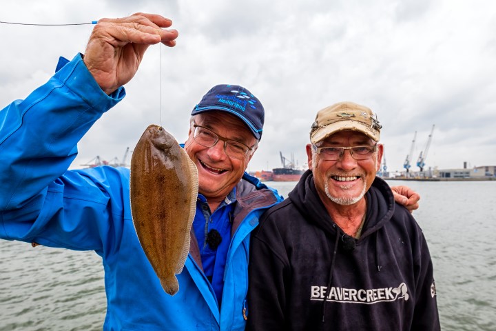 Sole caught in Rotterdam