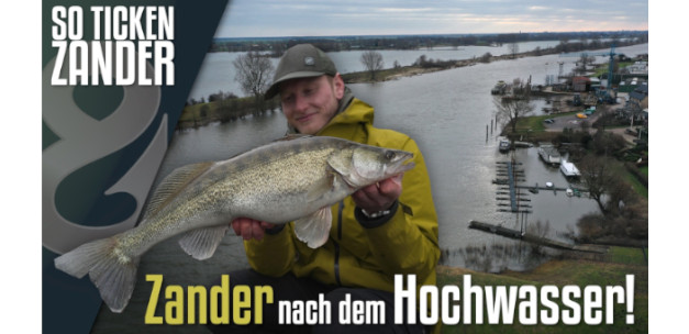 Video-Tipp: Zanderangeln nach dem Hochwasser
