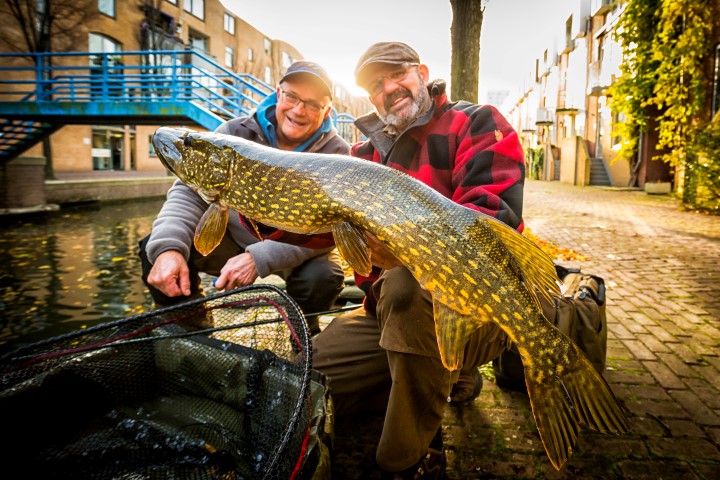 A nice pike caught in the city