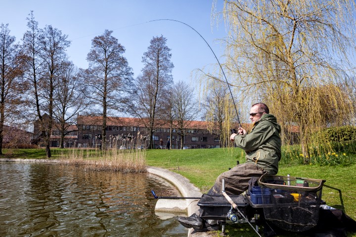 Coarse angling using the method feeder