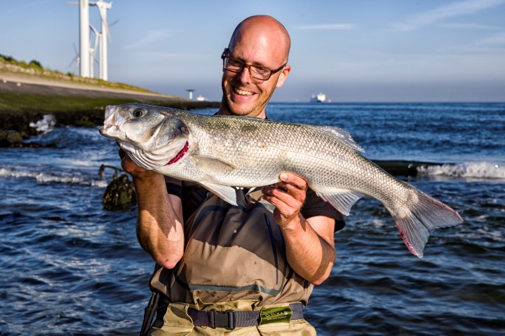 Fishing for seabass in Holland
