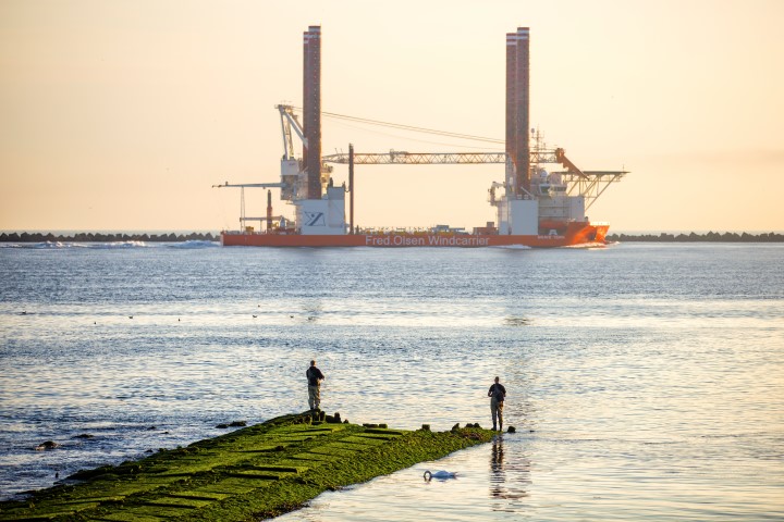 Fishing for seabass in the Rotterdam sea port