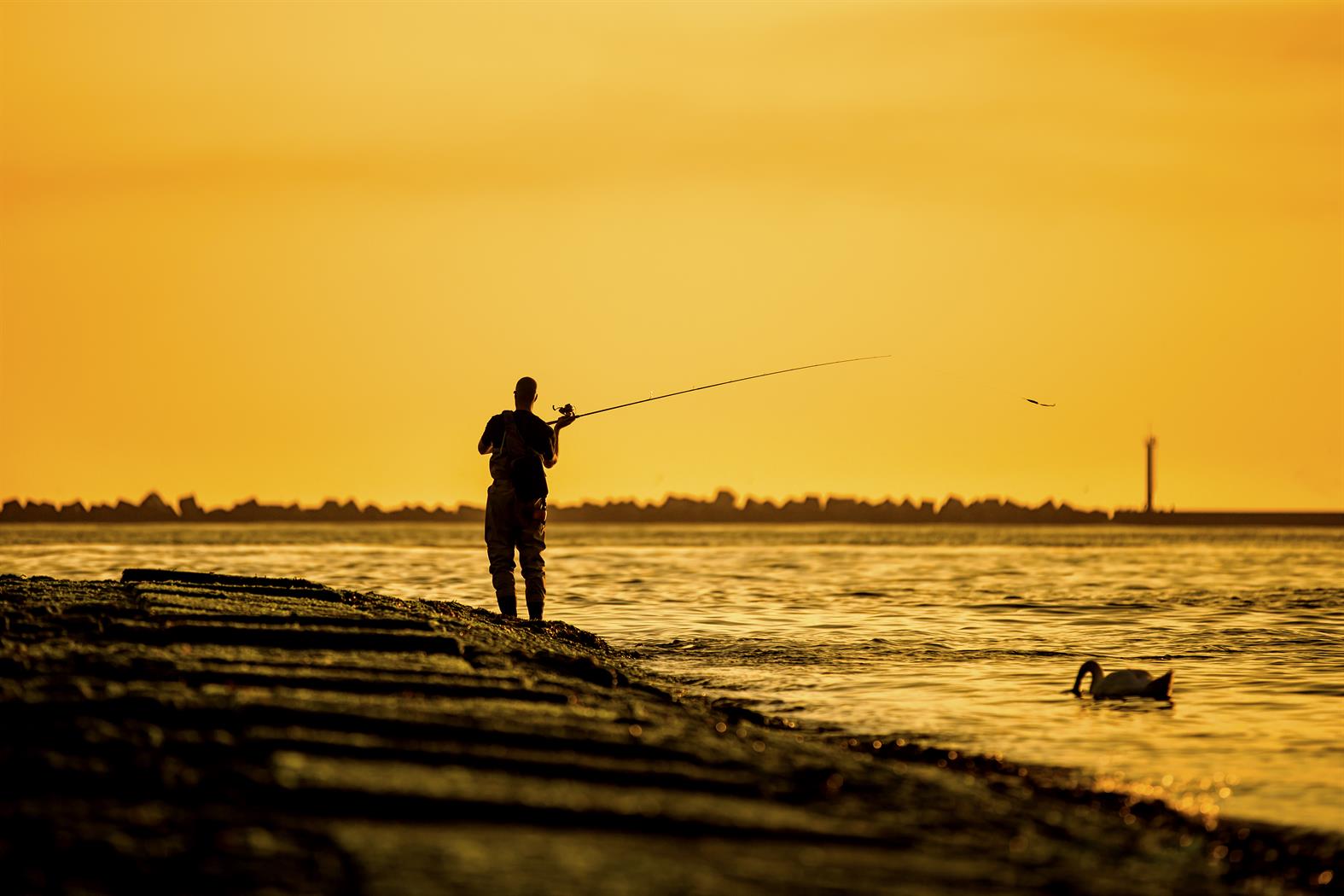 Fishing in Holland Home